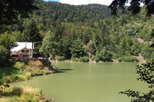 Le Lac du Neuweiher