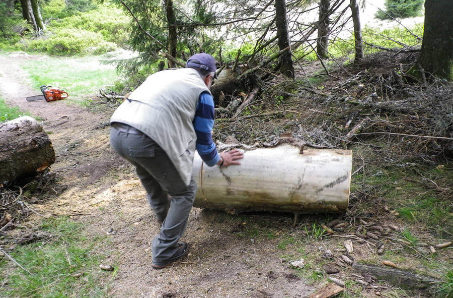 Un bénévole du Club Vosgien débarrasse un tronc d'arbre