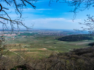 De Husseren-les-Châteaux, on peut voir la plaine d'Alsace