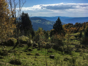 Près de La Bresse, près du Pont de Bramont