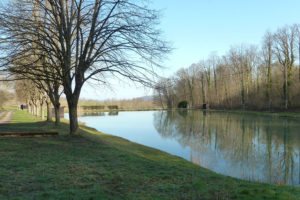 Etang près de Wittersdorf