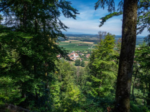 Le village de Koestlach, vu du Kastelberg