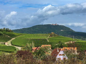 Le château du Haut-Koenigsbourg vu de Rorschwihr