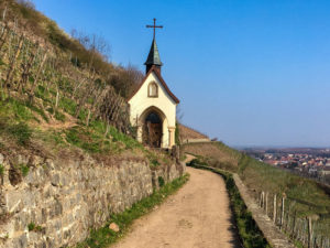 La chapelle St Urbain, au coeur du Rangen