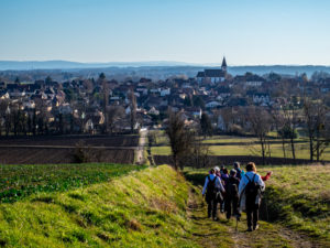 Vue plongeante sur Eschentzwiller et l'horizon