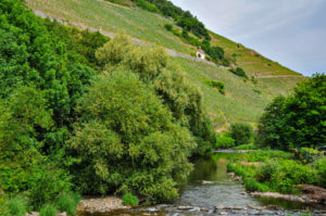 Chapelle St Urbain dans le vignoble de Thann : et si la marche d'orientation nous menait dans les vignes ?