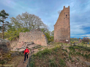 châteaux autour de Wintzenheim : ici, le Dagsbourg