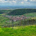 Westhalten, au piémont des Vosges. Vignes, forêt et plaine d'Alsace.