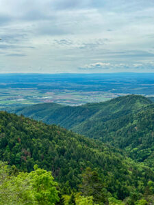 Steinbach - Molkenrain