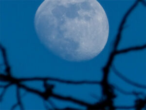 Pleine lune à Muggardt pour notre randonnée