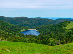 L'Altenweiher vu d'en haut