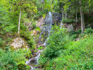 Cascade de l'Andlau, près du Hohwald