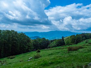 De la ferme-auberge Glashutte, on a de superbes vues sur le massif vosgien