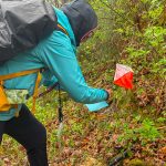 Marche d'orientation