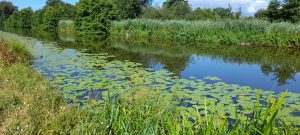 canal du Rhône au Rhin